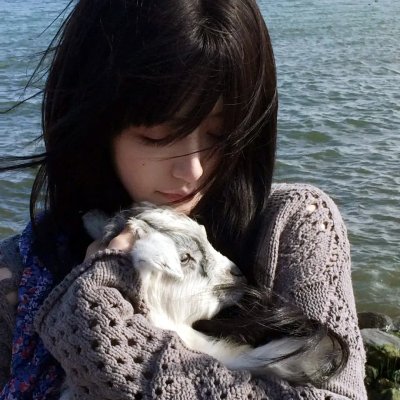 粉红女郎·爱人快跑海报